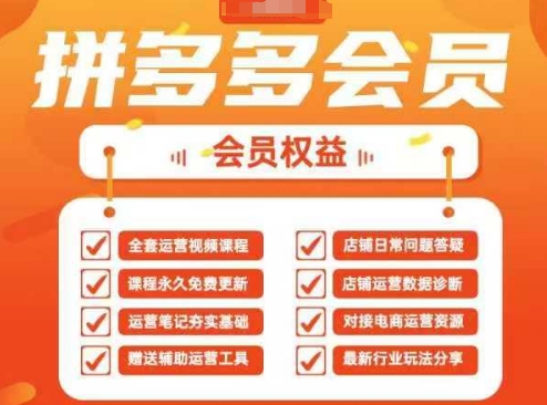 2025拼多多运营实战课，40节全流程教学，覆盖拼多多运营全链路-吾藏分享