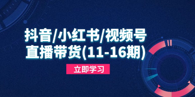 抖音/小红书/视频号/直播带货(11-16期-吾藏分享