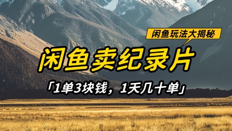 闲鱼卖纪录片1单3块钱，1天几十单，项目稳定有潜力-吾藏分享
