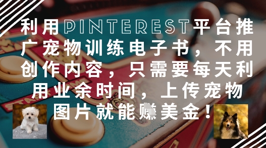 利用Pinterest平台推广宠物训练电子书，不用创作内容，只需要每天利用业余时间，上传宠物图片就能挣美金!-吾藏分享