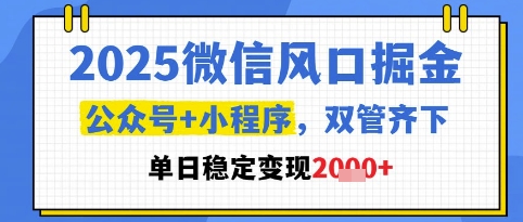 2025微信风口掘金，公众号+小程序双管齐下，单日稳定变现1k+【揭秘】-吾藏分享