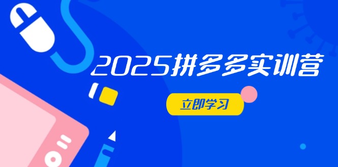 2025拼多多实训营：深度剖析运营关键，助力电商人快速提升-吾藏分享
