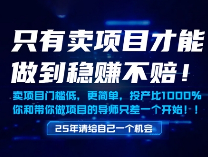 只有卖项目才能做到稳挣不赔，门槛低，更简单，你也可以年入百个W【揭秘】-吾藏分享