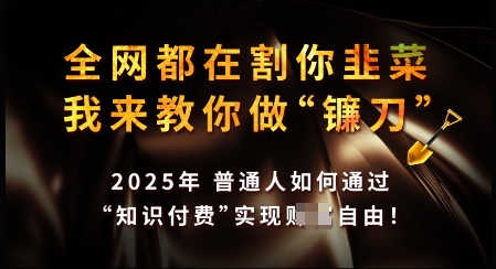 知识付费如何做到月入过W+，2025我来教你做“镰刀”【揭秘】-吾藏分享