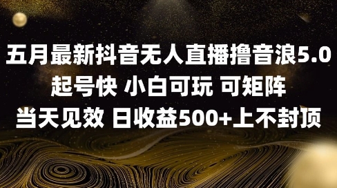 2025五月最新无人直播撸音浪单日产出5张+实操教程【揭秘】-吾藏分享