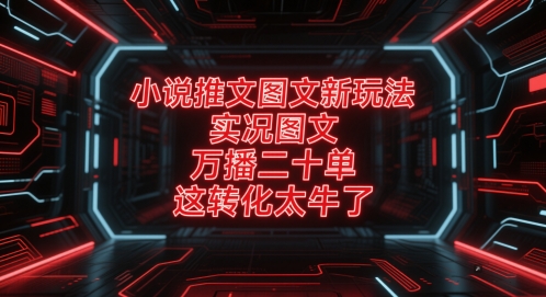 小说推文图文新玩法，实况图文，万播二十单，这转化太牛了！-吾藏分享