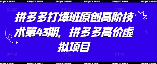 拼多多打爆班原创高阶技术第43期，拼多多高价虚拟项目-吾藏分享