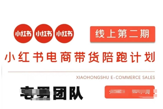 小红书电商带货课2期，月利润20个的小红书电商的有货源，无货源，虚拟产品，付费投流等整套玩法-吾藏分享