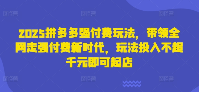 2025拼多多强付费玩法，带领全网走强付费新时代，玩法投入不超千元即可起店-吾藏分享