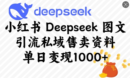 小红书Deepseek图文引流私域售卖资料，单日变现多张-吾藏分享