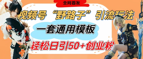 视频号“野路子”玩法，评论区疯狂截流，一套模板单日单号引流50+创业粉-吾藏分享