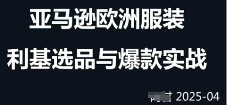 跨境电商选品案例24-25年，聚焦跨境电商选品策略与运营优化，助力卖家挖掘蓝海市场-吾藏分享