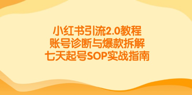 小红书引流2.0教程，账号诊断与爆款拆解，七天起号SOP实战指南-吾藏分享