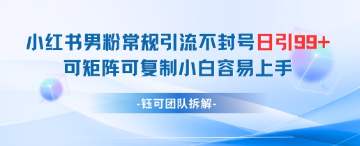 小红书男粉常规引流不封号日引99+变现简单 可矩阵可复制小白容易上手-吾藏分享