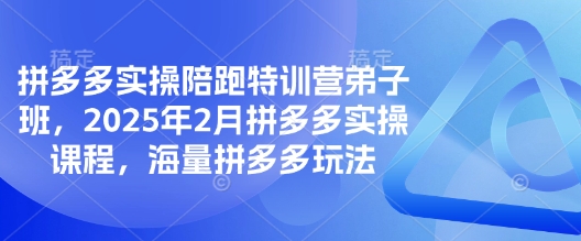 拼多多实操陪跑特训营弟子班，2025年2月拼多多实操课程，海量拼多多玩法-吾藏分享