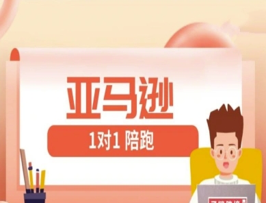 亚马逊1对1陪跑课(FBA/FBM精铺)跨境亚马逊教程-吾藏分享