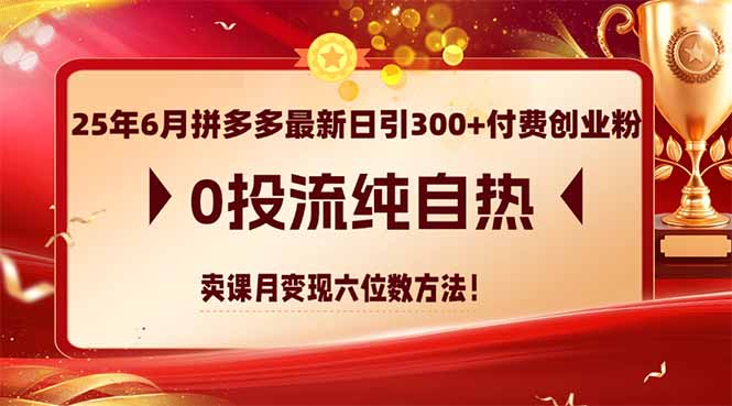 25年6月拼多多最新日引300+付费创业粉，0投流纯自热 卖课月变现六位数方法-渝渝网创