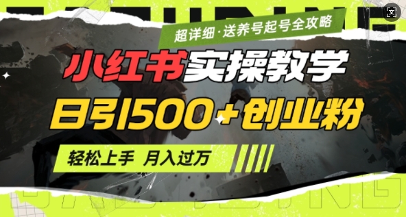 2月小红书最新日引500+创业粉实操教学【超详细】小白轻松上手，月入1W+，附小红书养号起号SOP2-吾藏分享