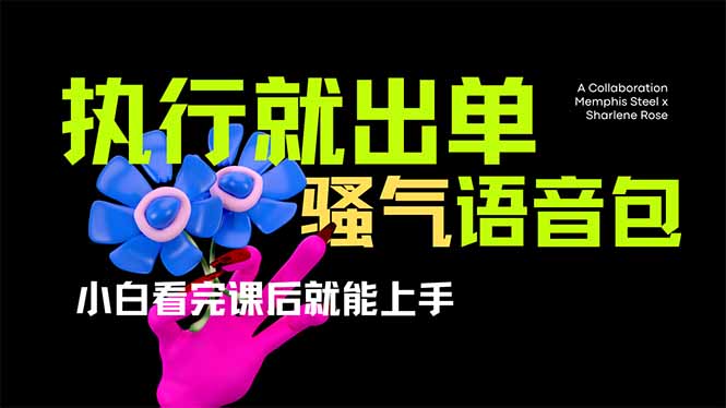 爆火全网的开车导航骚气语音包,只要执行就出单，小白看完课程就能实操…-吾藏分享