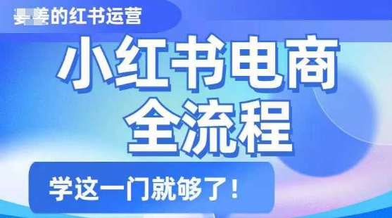 小红书电商全流程，精简易懂，从入门到精通，学这一门就够了-吾藏分享