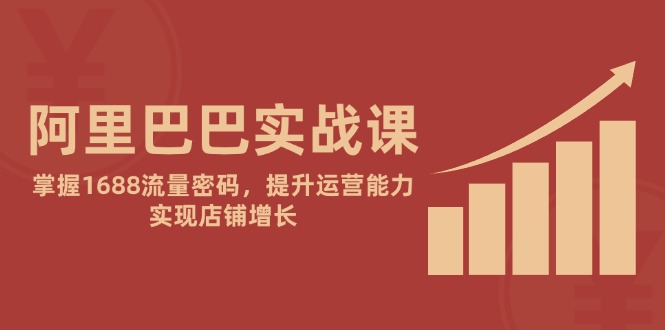 阿里巴巴实战课：掌握1688流量密码，提升运营能力，实现店铺增长-吾藏分享