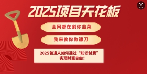 2025项目天花板普通人如何通过知识付费，实现财F自由【揭秘】-吾藏分享