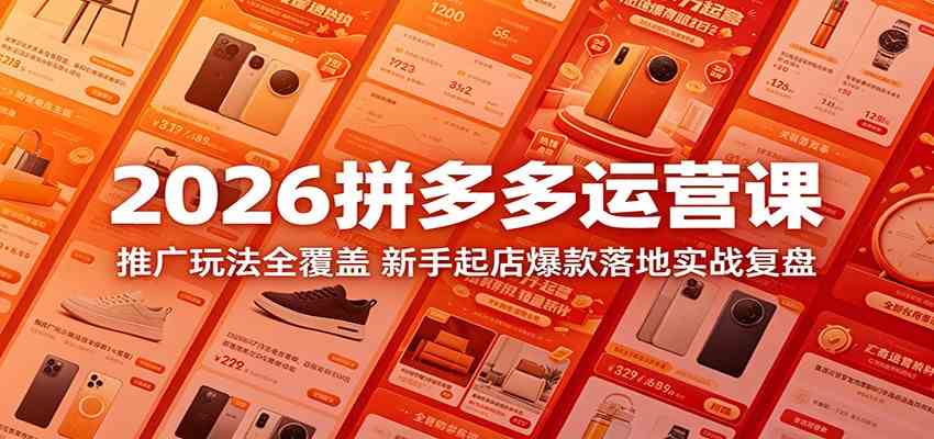 2026拼多多运营课：推广玩法全覆盖，新手起店爆款落地实战复盘-雷总笔记资源网