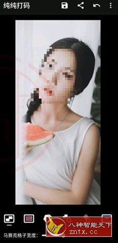 纯纯打码v4.10.2高级版-赚客网赚