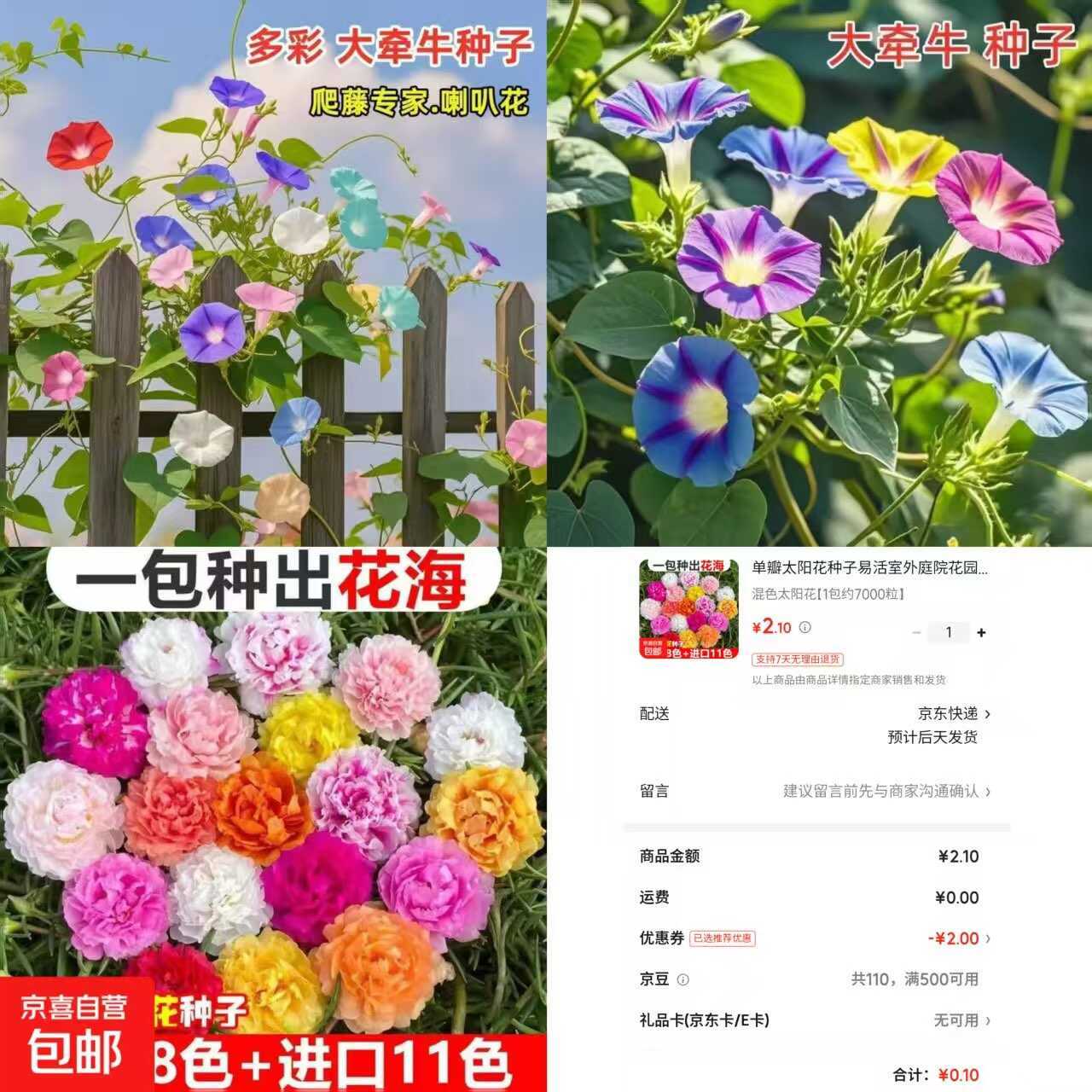 京东0.1太阳花种子约7000粒-赚客网赚