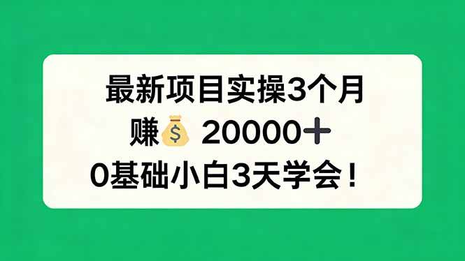 （17856期）最新项目实操3个月，赚钱20000+，0基础小白3天学会！-赚客网赚
