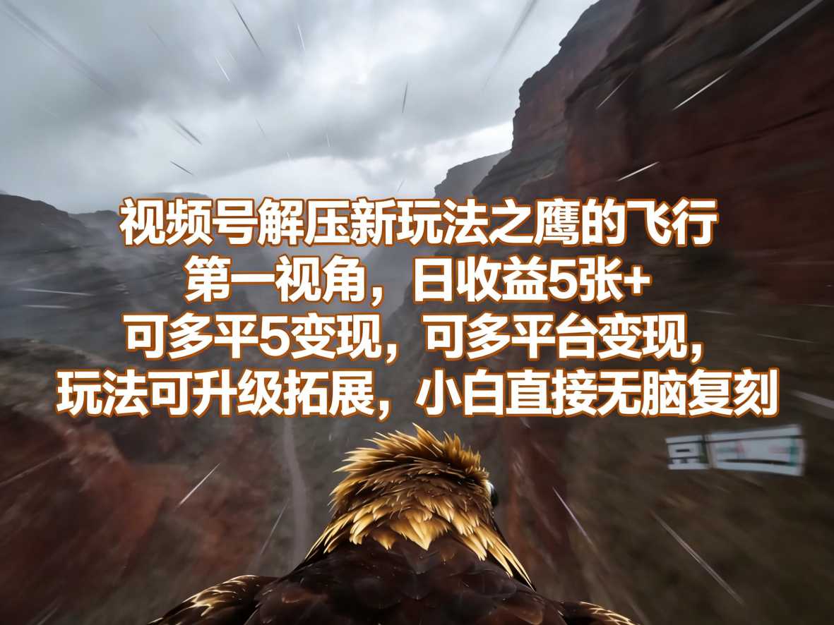 视频号解压新玩法之鹰的飞行第一视角，日收益5张+，可多平台变现，玩法可升级拓展，小白直接无脑复刻-吾藏分享