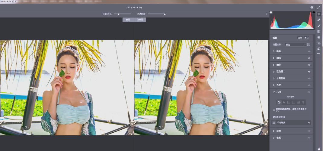 RAW处理Adobe Camera Raw v18.3.0中文版-雷总笔记资源网